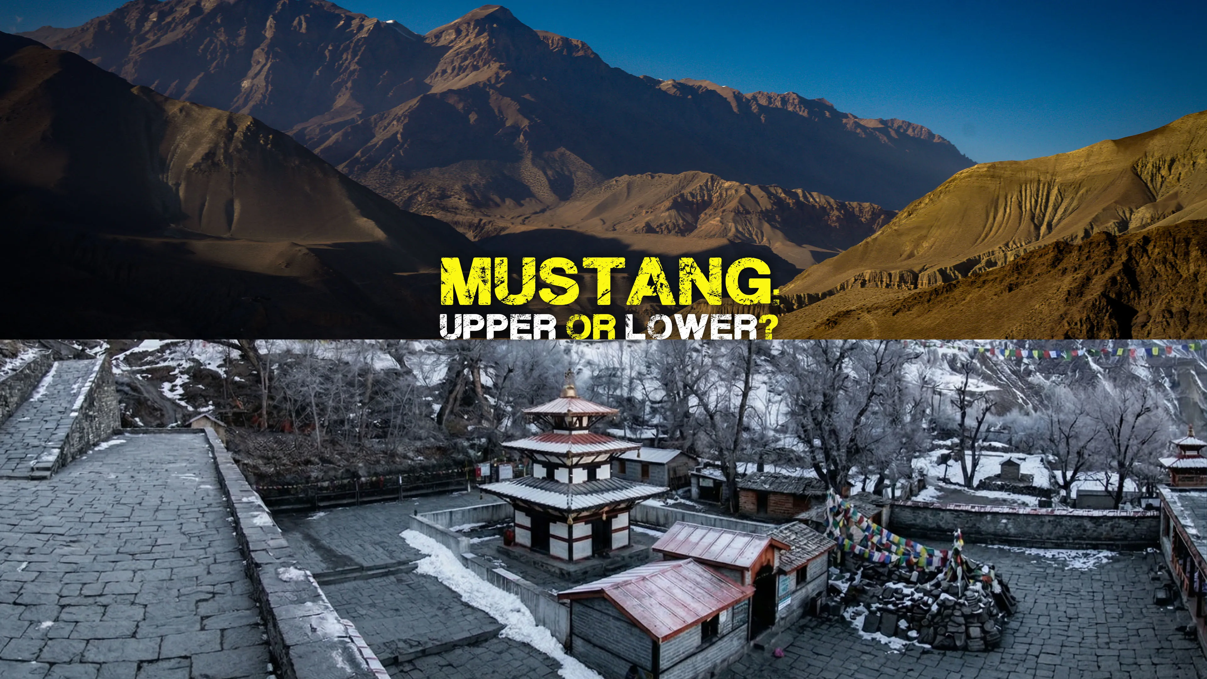 Mustang: Upper or Lower?