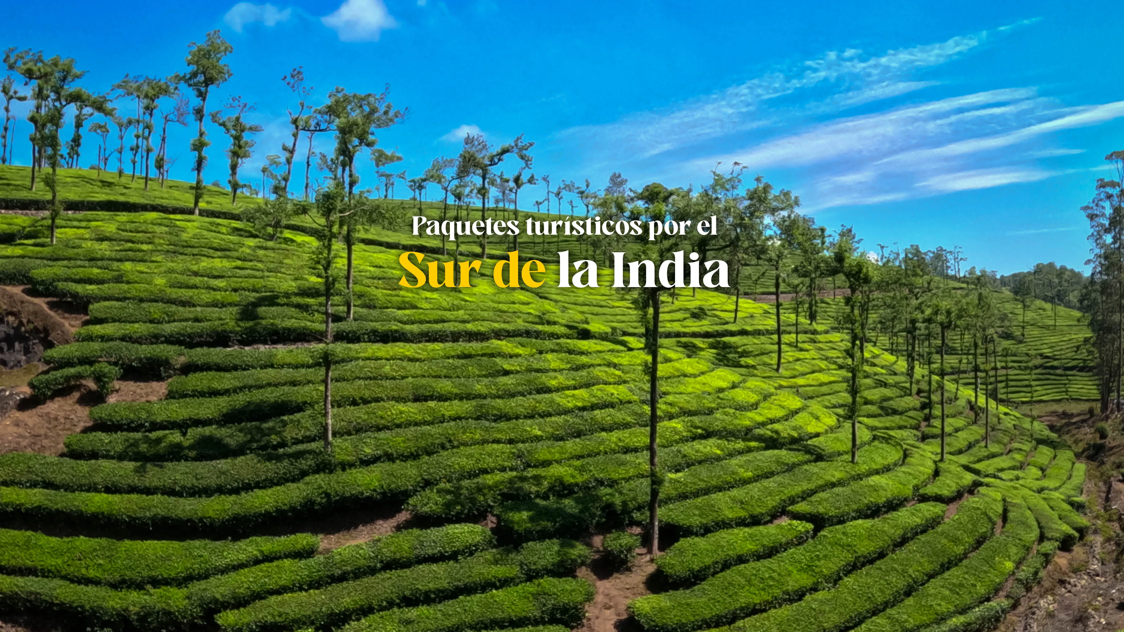 Paquetes Turísticos por el Sur de la India