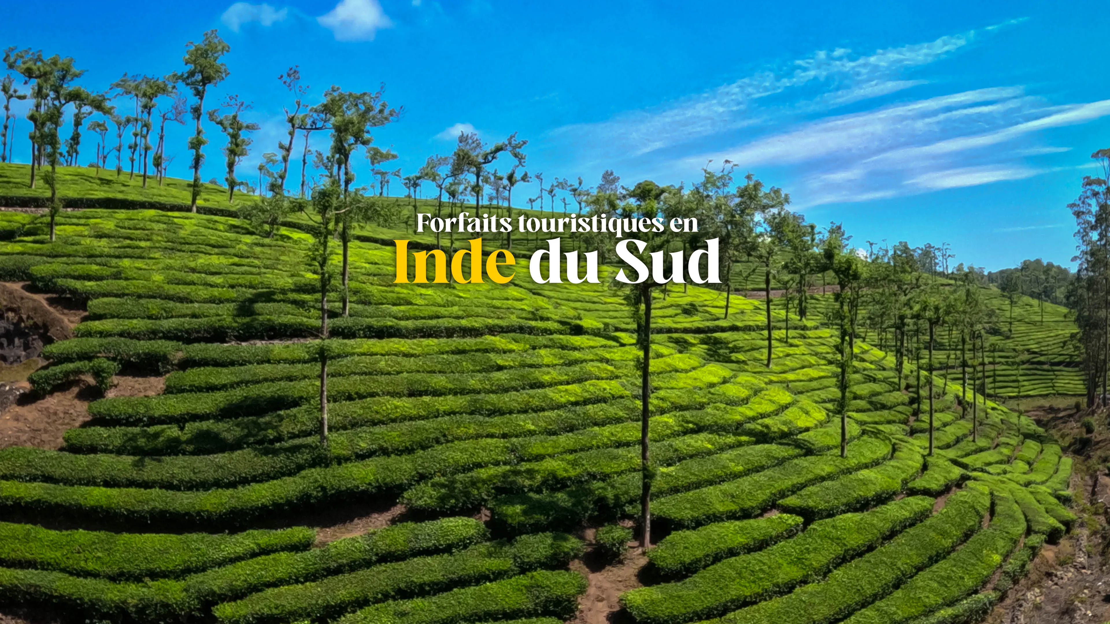 Circuits dans le sud de l’Inde