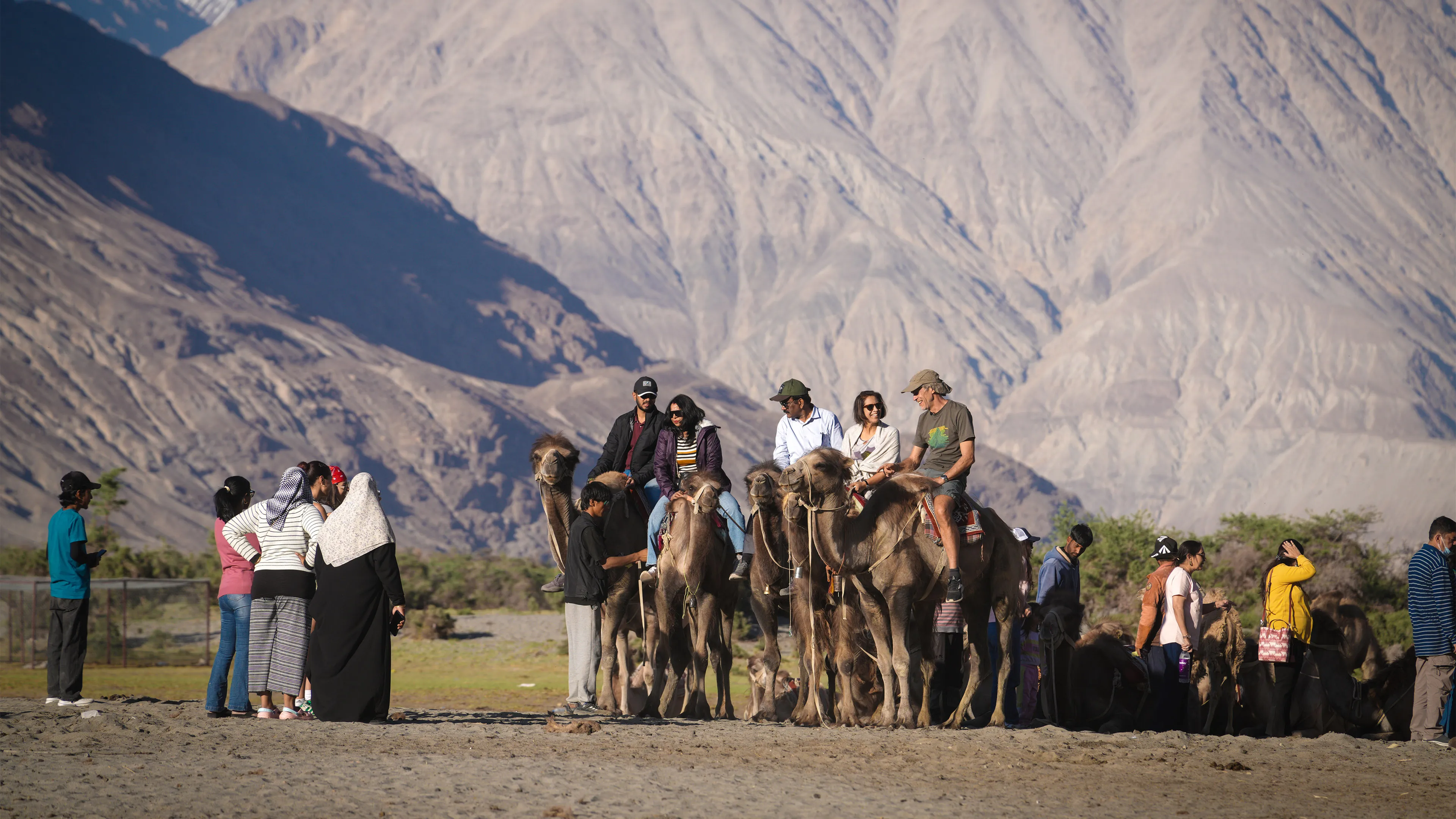 Nubra Valley Camel ride