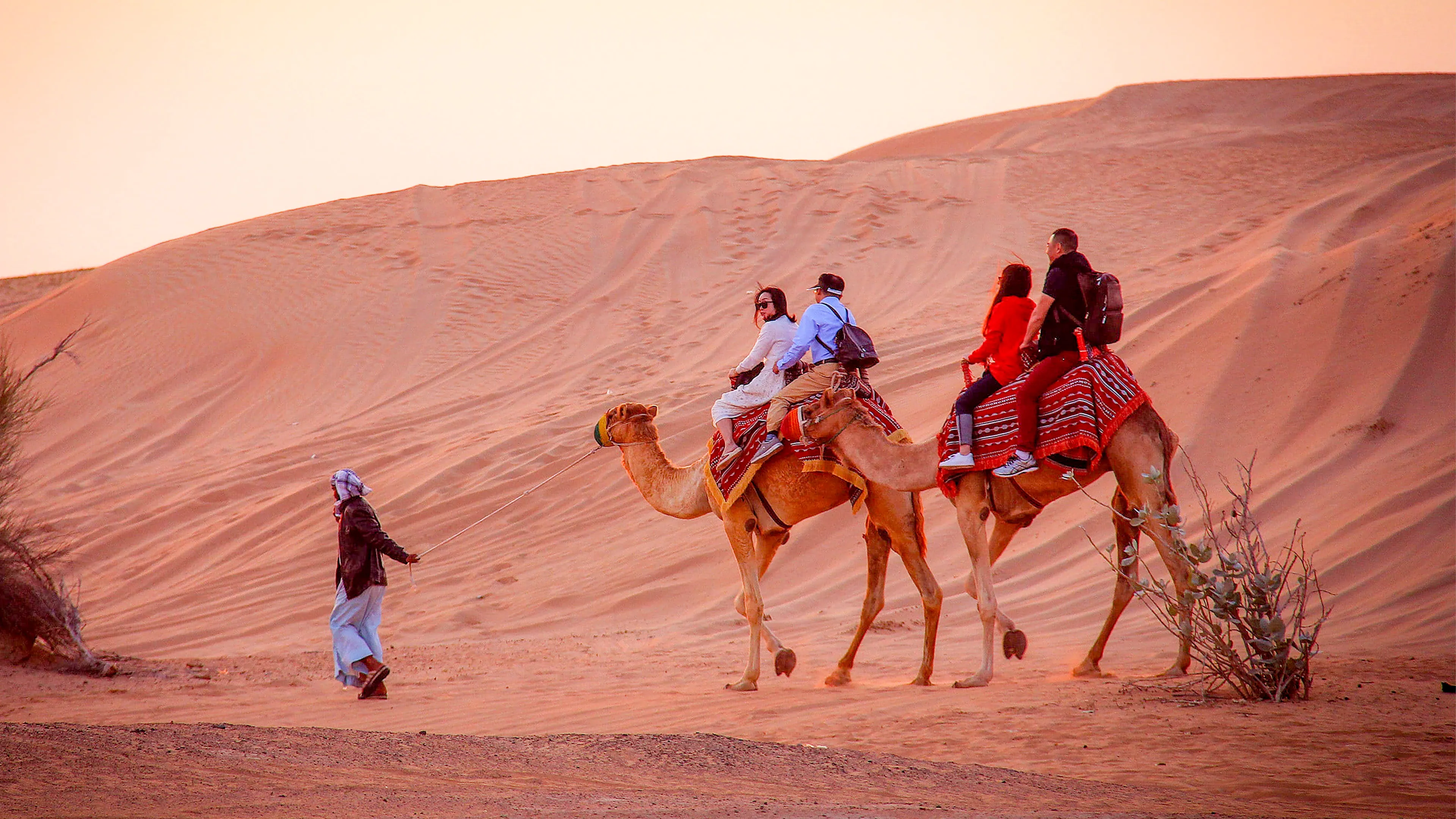 Rajasthan Camel Safari