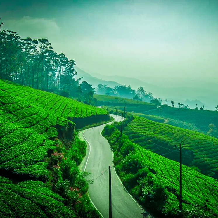 Inventore voluptates velit totam ipsa tenetur