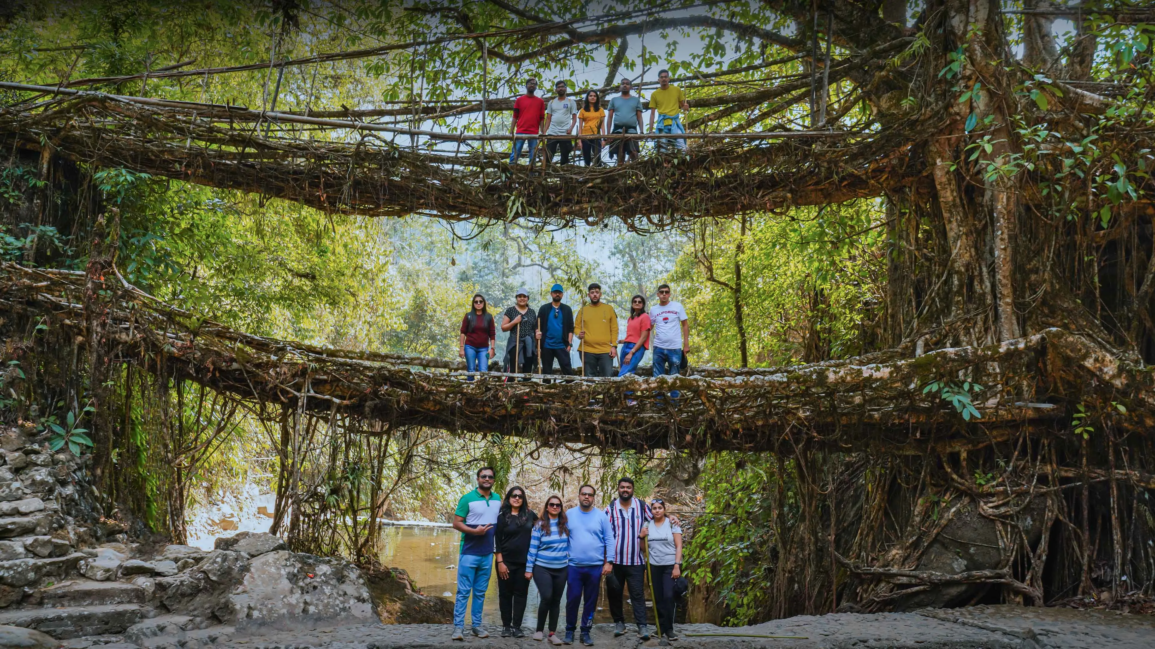 Double Decker Living Root Bridge